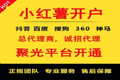 案例解读：信息流代理在教育培训领域的应用